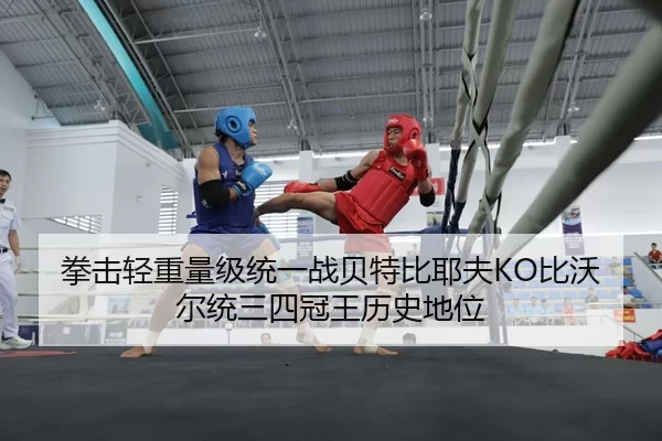 拳击轻重量级统一战贝特比耶夫KO比沃尔统三四冠王历史地位