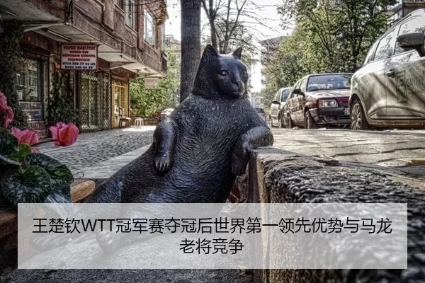 王楚钦WTT冠军赛夺冠后世界第一领先优势与马龙老将竞争
